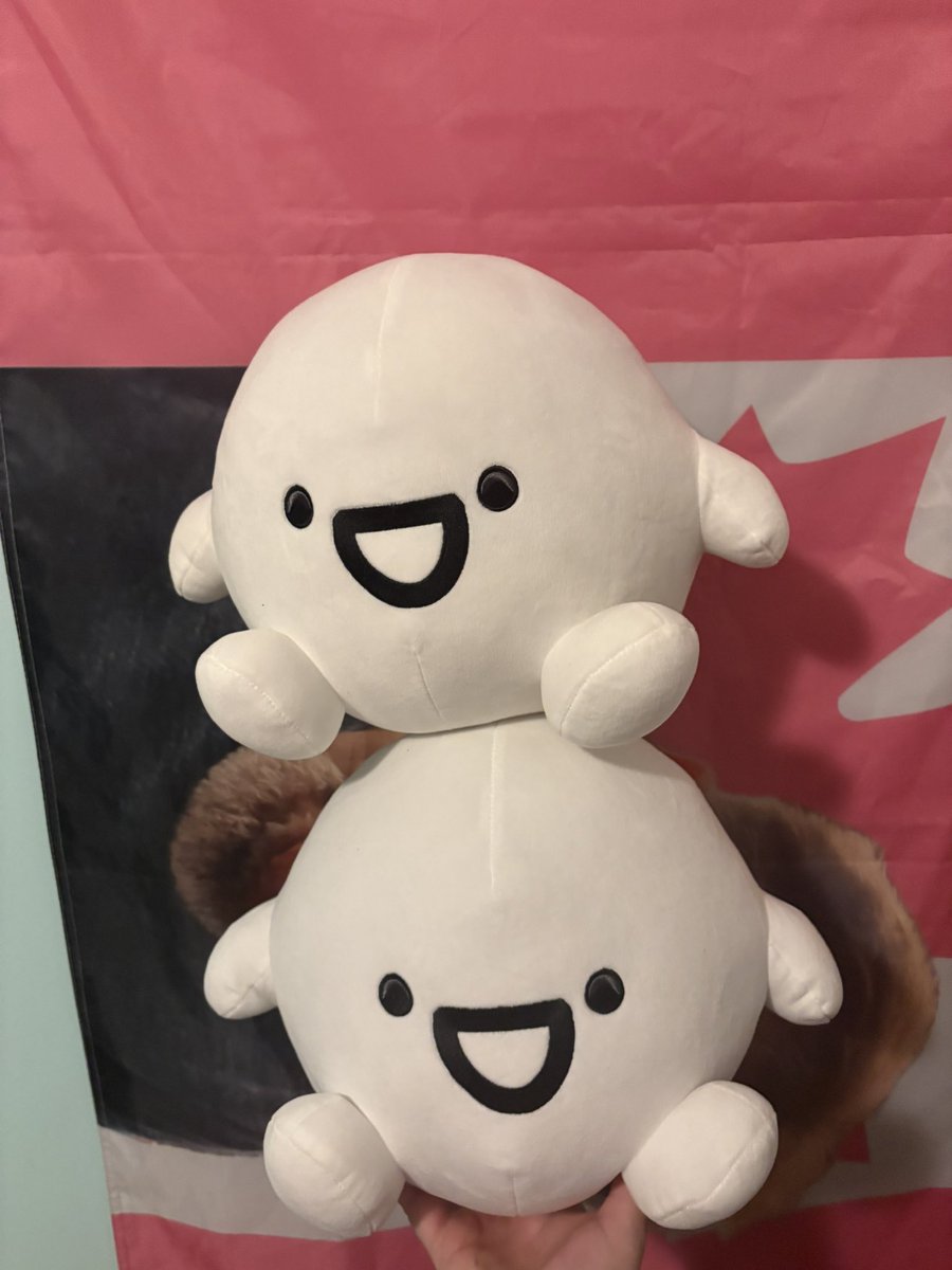 kblooopers's tweet photo. so what to do with these two now…

#saparata #plush https://t.co/umzDdBhtl9