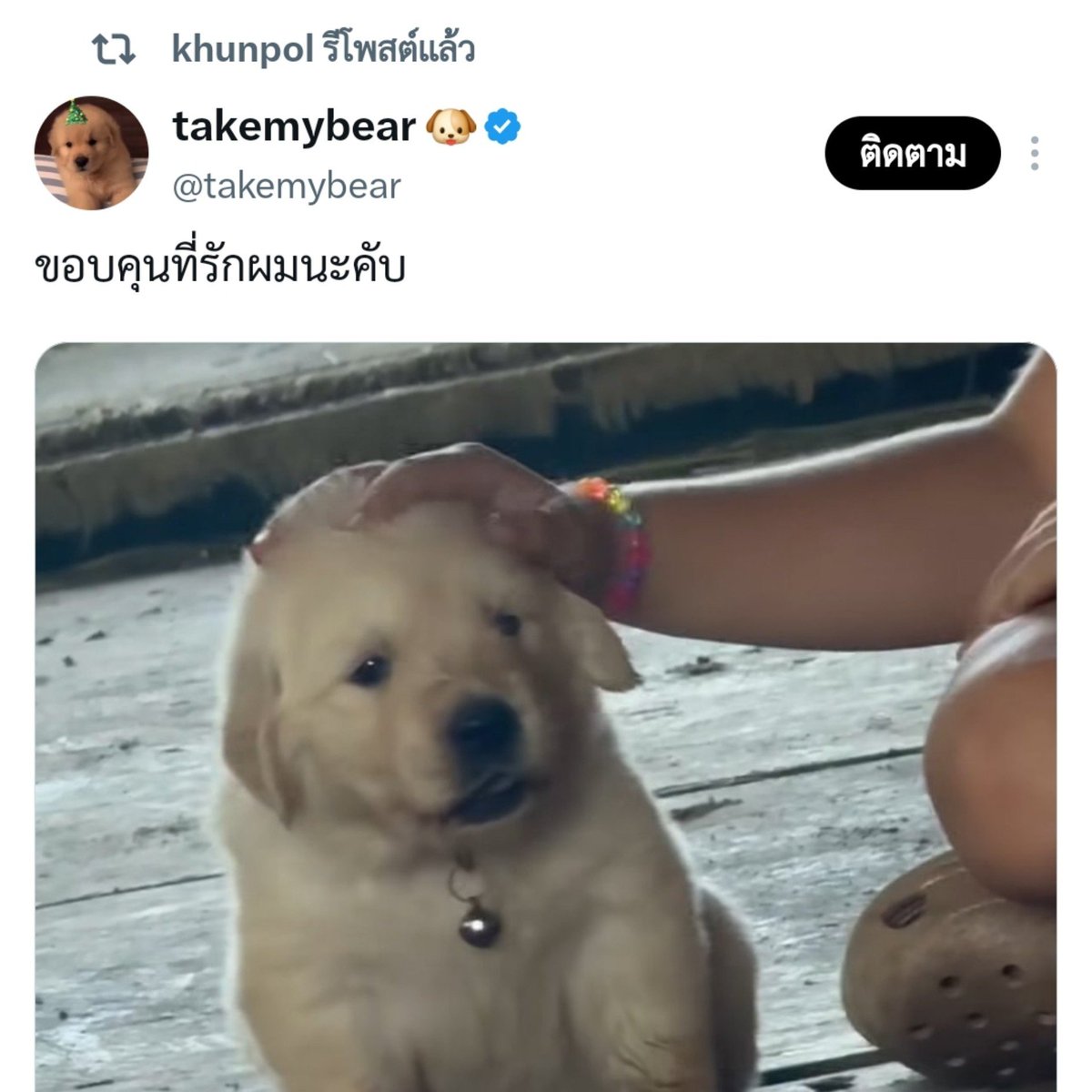 luvu23sept's tweet photo. แล้วคนที่เห็นมะม๋าเด็กทุกตัวเป็นฮีจะอยุ่ยังไง https://t.co/khNsWSlx8X