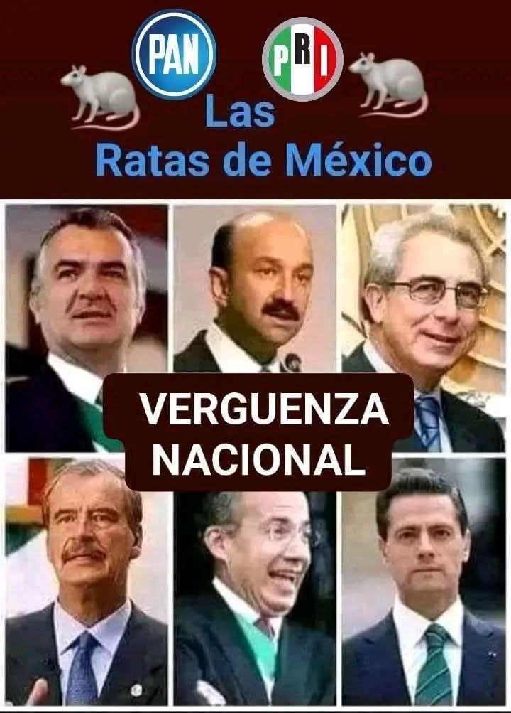 Perla4449415671's tweet photo. PROHIBIDO OLVIDAR  🤬 https://t.co/BrpNNBEbg5