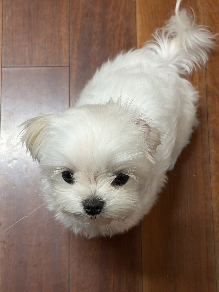 riceloverscluv's tweet photo. 수박주세욥. 달걀두욥. https://t.co/dHetTM5CwL