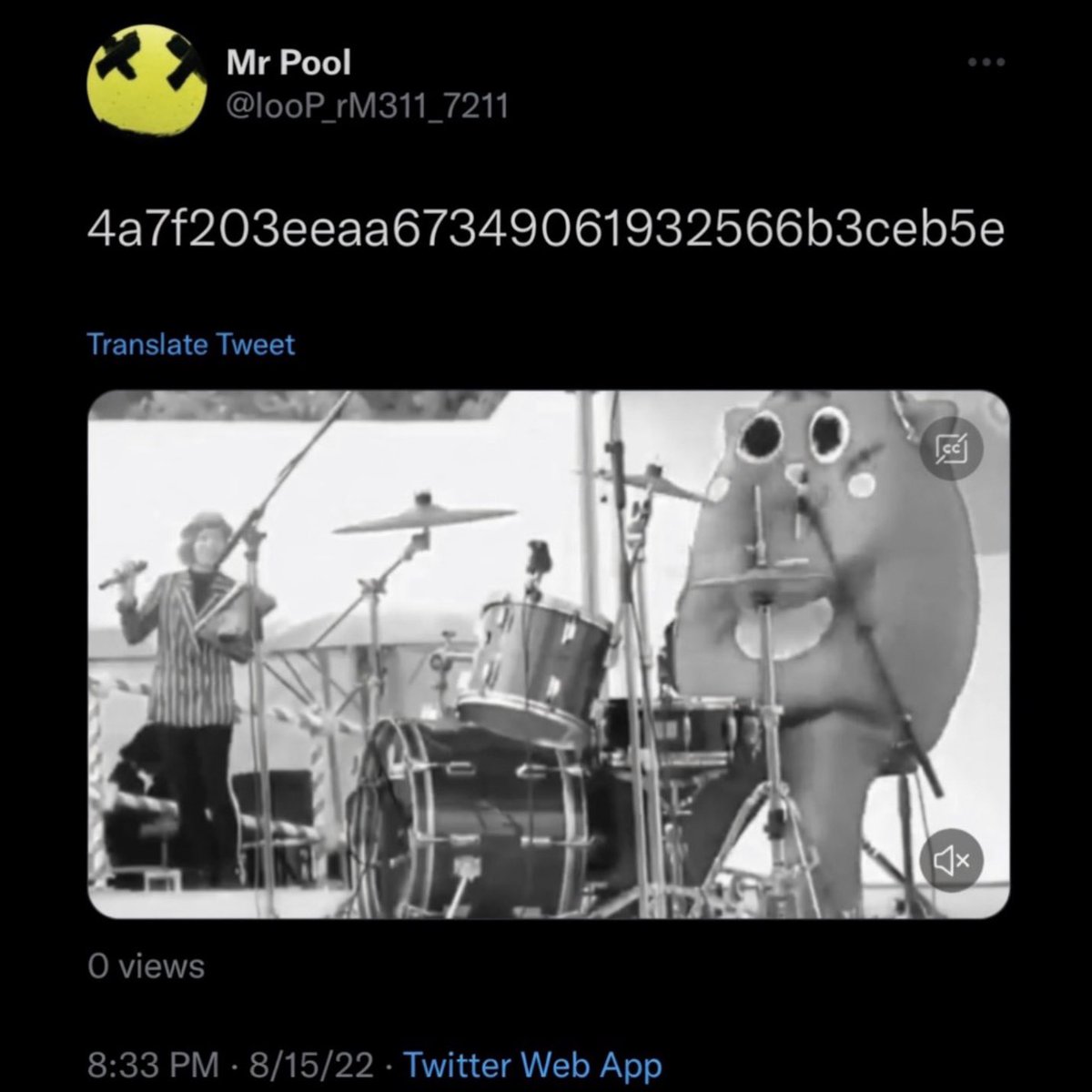EsotericKang's tweet photo. Mr Pool “𝗜𝗠𝗣𝗘𝗡𝗗𝗜𝗡𝗚” 8/15/2022 @ 8:33 PM EST. 

8/15 &amp; 8:33 👉🏽 𝟴/𝟲 👀🧐

“𝙒𝙝𝙚𝙣 𝙮𝙤𝙪 𝙠𝙣𝙤𝙬 𝙞𝙩𝙨 𝙮𝙤𝙪𝙧 𝙡𝙖𝙨𝙩 𝙘𝙝𝙖𝙣𝙘𝙚 𝙩𝙤 𝙪𝙨𝙚 𝙮𝙤𝙪𝙧 𝙥𝙖𝙮𝙘𝙝𝙚𝙘𝙠 𝙛𝙤𝙧 𝙢𝙤𝙧𝙚 𝙓𝙍𝙋” https://t.co/NINb1O80YW