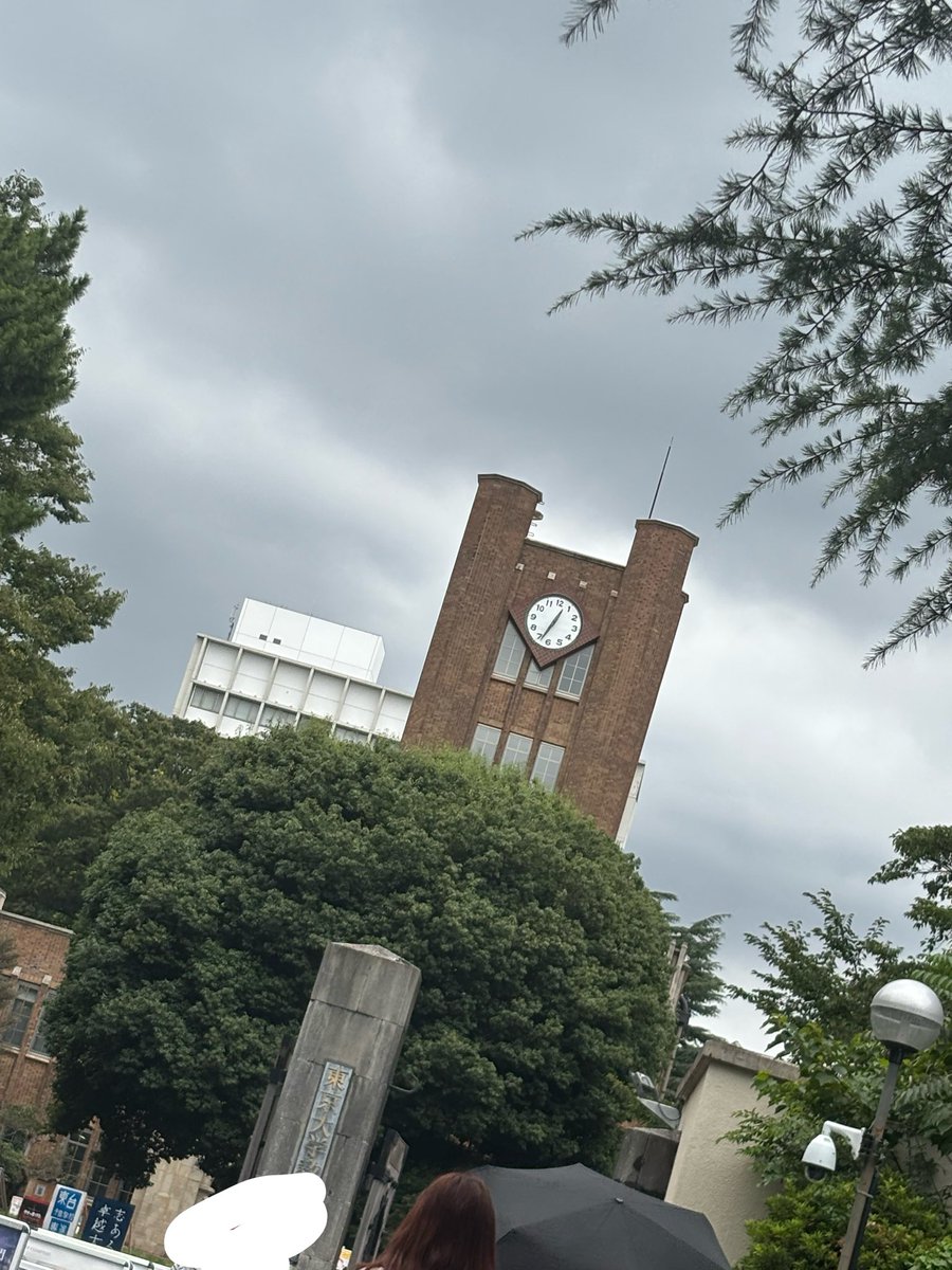 sq_ppz's tweet photo. 来た
木で囲われすぎてて涼しい https://t.co/l0z8uxyW7L