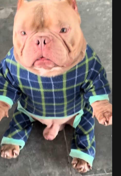 MikeLowrynd's tweet photo. @soapweb3 KNOX check out his TikTok https://t.co/nXGXjm4wCI

4z3fS34Vcm4jEeVWYtSPep3qDbPTn8J4dPpb8vtQpump https://t.co/mb0RrkNy2S