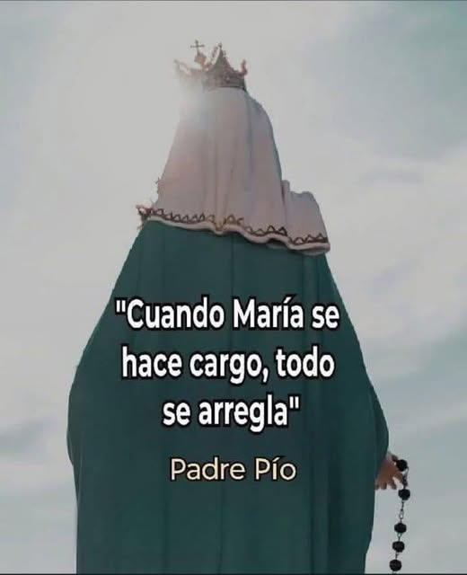 liderSanAlfonso's tweet photo. https://t.co/xREmewHsXg