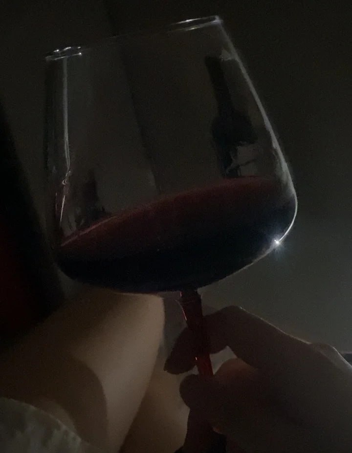 Emily7mtxuh1's tweet photo. A glass of wine, a calm room, and a peaceful heart. Sometimes the best moments are the quiet ones #Relax #CozyNight #GoodVibes https://t.co/VBsJNIG8U8