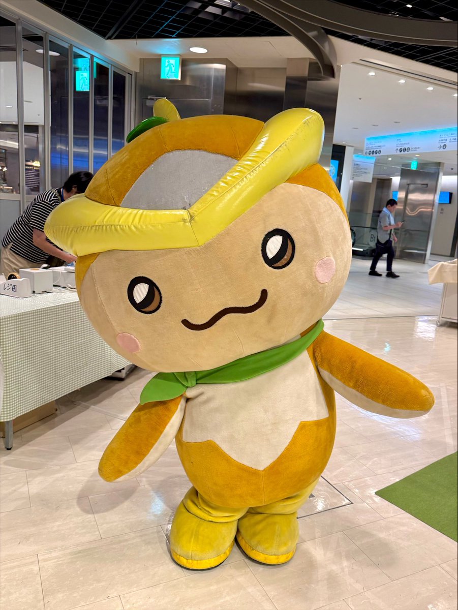 lonron1103's tweet photo. トコろん登場！！

今日もとってもかわいいです☺️

次回の登場は15時の予定です！

#トコろん https://t.co/x40jn6kCbq