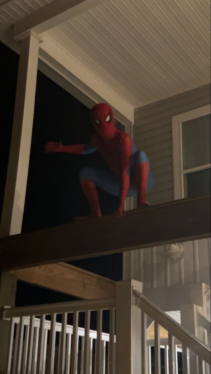 Bug_Boy77's tweet photo. @rotsmodel " 𝕙𝕒𝕕 𝕒 𝕘𝕠𝕠𝕕 𝕕𝕒𝕪? "

*he said, landing right out side her window* https://t.co/iZQ51DwRPJ