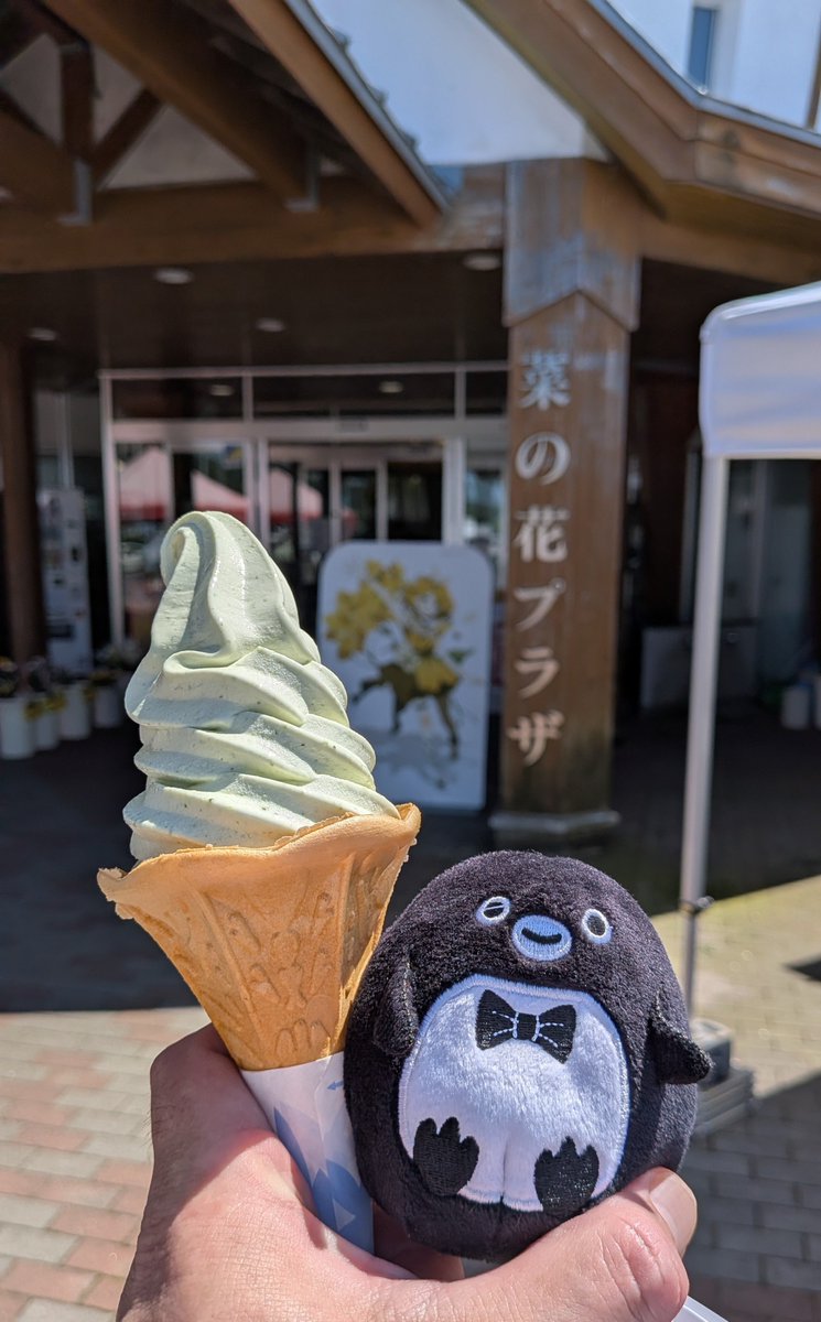 alpaonsensan's tweet photo. 梅雨明けして青森県も暑くなりましたが、♨️さん、きょうも青森県横浜町の道の駅よこはま【菜花ソフトクリーム】でひんやりスッキリ！
お友だちのSuicaのペンギンさんたちも一緒で、菜花ソフトクリームの大ファンになりました！
菜花ソフトまた食べたいな！
@yokohamamati https://t.co/MOFzrsJePc