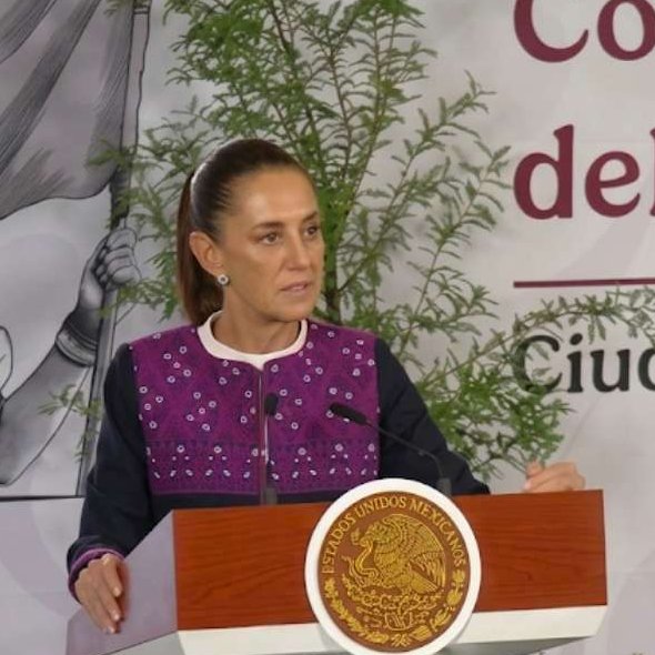 YoAmoaLaCiencia's tweet photo. Más de 108 millones de pesos: el comercio de maderas de 500 árboles protegidos desde México

Entre 2024 y 2026 se documentó la exportación de  1,801.49 metros cúbicos de madera correspondiente a especies vulnerables y en peligro de extinción. 

Esto acuerdo con los permisos de aprovechamiento registrados por la SEMARNAT sobre la exportación de árboles protegidos.

Ese volumen equivale aproximadamente a 534 árboles: 331 caobas, 117 cedros y 86 guayacanes.

La caoba (Swietenia macrophylla), catalogada como Vulnerable por la UICN e incluida en el Apéndice II de CITES, concentra el mayor volumen exportado. Los registros suman 1,323.35 metros cúbicos, equivalentes a unos 331 árboles adultos.

Considerando el precio internacional para esta madera este volumen representa un valor aproximado de 4 millones de dólares, cerca de 74 millones de pesos.

El principal destino de la caoba mexicana fue Estados Unidos, con un número reducido de envíos a Canadá.

El cedro (Cedrela odorata), también clasificado como Vulnerable e incluido en el Apéndice II de CITES, registra 349.78 metros cúbicos, equivalentes a 117 árboles adultos.

A precios internacionales de máxima calidad, este volumen alcanza un valor aproximado de 800 mil dólares, alrededor de 15 millones de pesos. 

Sus exportaciones tuvieron como destino Estados Unidos, República Dominicana, Nicaragua, Cuba, Honduras, Costa Rica, España e Indonesia.

El guayacán (Guaiacum sanctum), catalogado En Peligro por la UICN e incluido en el Apéndice II de CITES, suma 128.36 metros cúbicos, equivalentes a 86 árboles adultos. 

Debido a que es una de las maderas tropicales más escasas y valiosas del mercado internacional, ese volumen puede alcanzar un valor cercano a 1.03 millones de dólares, aproximadamente 19 millones de pesos.

 Los envíos registrados tuvieron como destino Alemania, Polonia y Japón.

En conjunto, las exportaciones analizadas representan un valor comercial estimado de 5.83 millones de dólares, equivalentes a casi 108 millones de pesos.

Los permisos de cedro y guayacán incluyen información sobre el predio o PIMVS de orige y  la autorización de aprovechamiento. 

Pero los registros correspondientes a la caoba, la especie con mayor volumen y mayor valor comercial, aparecen sin esa información. 

La SEMARNAT a cargo de Alicia Bárcena, no demostró que esas autorizaciones existan, no señala de dónde fueron cortados esos árboles y no incluye quien es el beneficiario de esta tala “legal”. 

La Secretaria de Hacienda y Crédito Público, nos señaló por transparencia que no se puede obtener información sobre el movimiento aduanal por ser secreto fiscal. 

Así es que especies protegidas, incluso en peligro de extinción y de muy alto valor economico se están “aprovechando” sin que sepas por quienes.