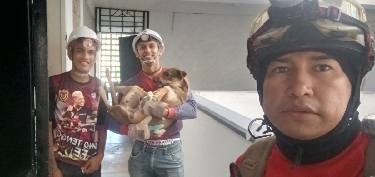 AngelMoreno_LM's tweet photo. OPPE 35, hoy. Había un perrito montado en el marco de la ventana de un apto. del piso 12.

Lo rescatamos exitosamente, lo llevamos con los veterinarios del Mc'Donalds de Caraballeda y en 10 minutos ya estaban sus dueños. Llevaba +3 días perdido y está bien.

Vean el vídeo 🥹🥹🥹 https://t.co/pcS3DI7HEd