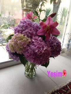 Yesimm_34's tweet photo. 🍃🌺🍃Günaydın🍃🌺🍃 https://t.co/UYhD7c06NE