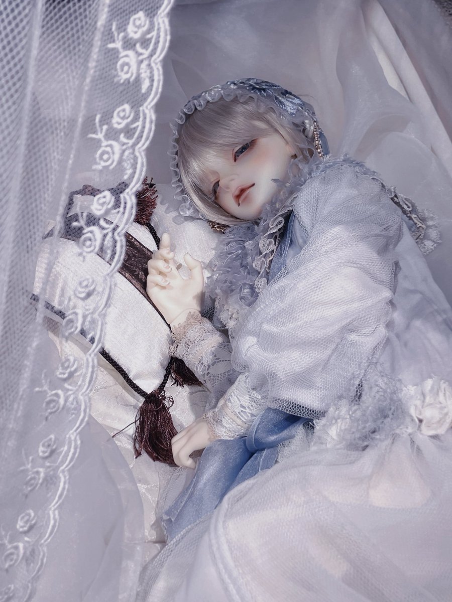 osakana_popopo's tweet photo. 😴
#SDアーニー
#うちのこかわいい https://t.co/ClXuKZRu4c
