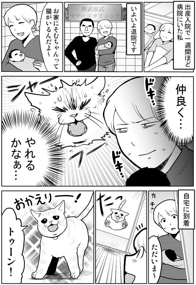 ねこっこ (@nekokkoooo) / Posts / X