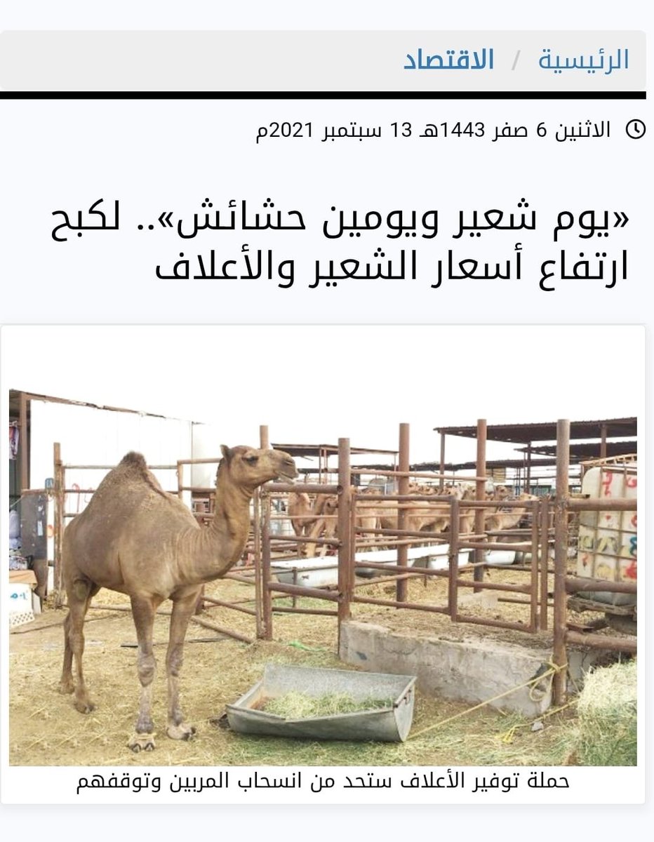 saud050078's tweet photo. علينا  اعادة تطبيق حملة #التوفير_الذكي_للاعلاف #يوم_شعير_يوم_حشايش #يوم_شعير_يومين_حشايش 👇👍
 «يوم شعير ويومين حشايش ».. لكبح ارتفاع أسعار الشعير والأعلاف
https://t.co/51VK4AdiCf https://t.co/dh2gjvGoib