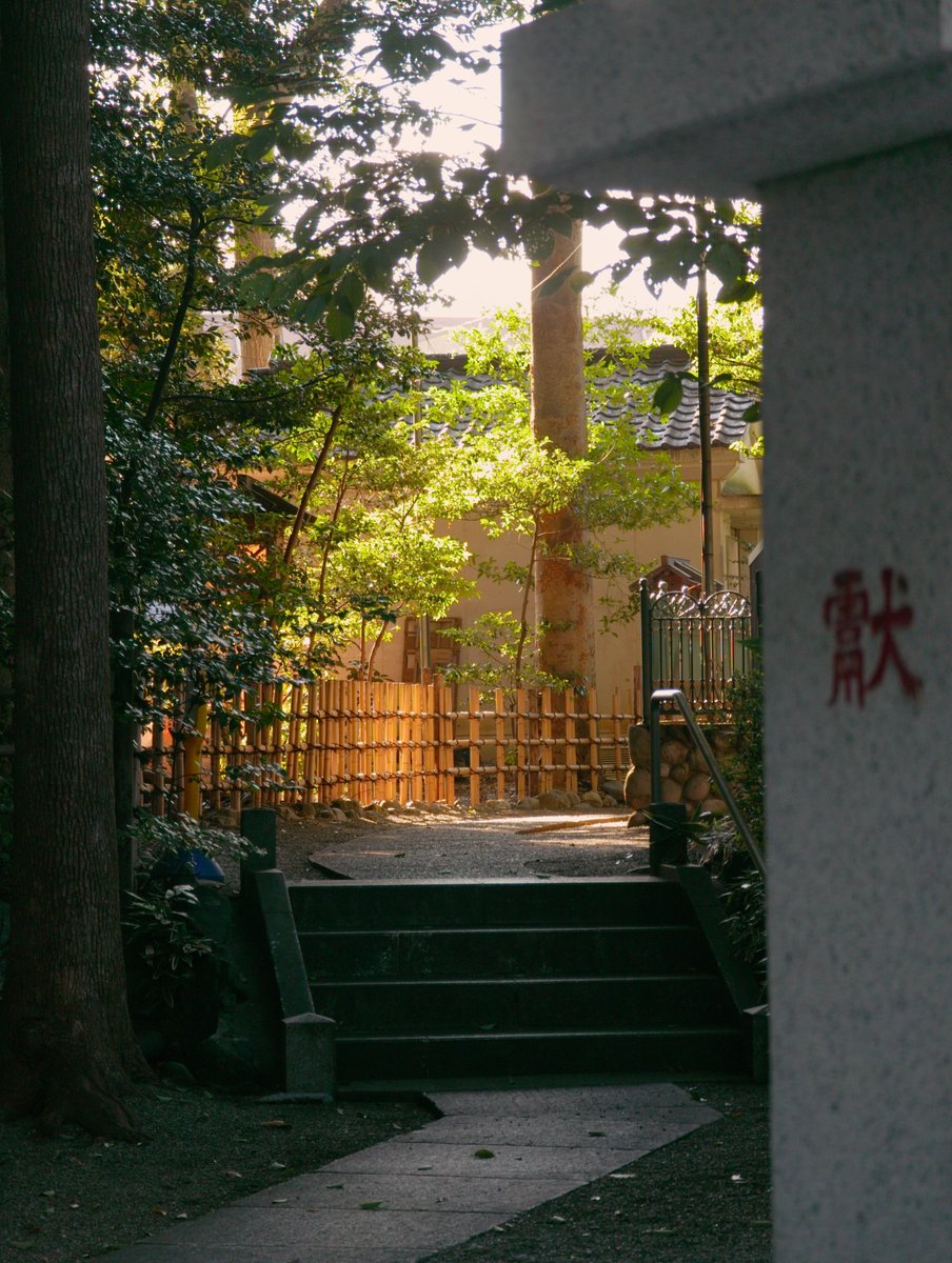 Rare_camera's tweet photo. Summer in Japan Shrine⛩️
ALL Straight out of camera on RarecamApp👍

#MobilePhotography #photography #StreetPhotography #Japan https://t.co/Hv6ID992az