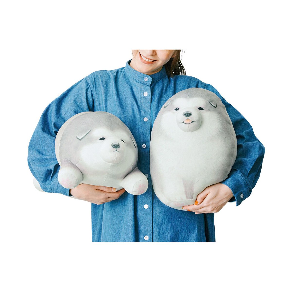 otaINF0's tweet photo. 『アラスカンマラミュートの子犬実寸大クッション』

雪玉のような、おもちのような、まんまるなアラスカンマラミュートの子犬の実寸サイズクッション。
構ってほしそうな表情や短いしっぽがキュートな後ろ姿を見ると、思わずぎゅうっと抱きしめたくなりそう！
https://t.co/nyJeFkyinq https://t.co/mTOeLlDo2i