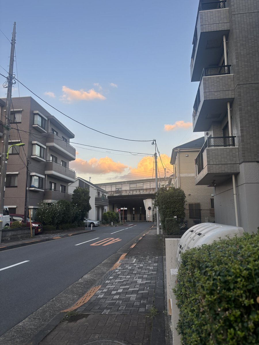Sabamisooic's tweet photo. 夏の雲って感じで好き https://t.co/jsKRRxq4oq