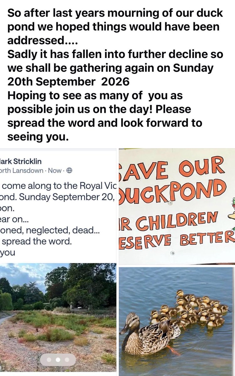 Angiemut's tweet photo. Sad to say we’re having to organise yet another rally to mourn our beloved duck pond 🦆💔
Sunday 20 September | midday
Royal Victoria Park, Bath
A year on and the pond is still in decline. Come show your support.
Full report from Bath Echo (5 Aug):
https://t.co/11tSlfSuNA
#MallardsNotBollards #SaveOurDuckPond#Bath
Please come and support us on the day our children deserve so much better 💔