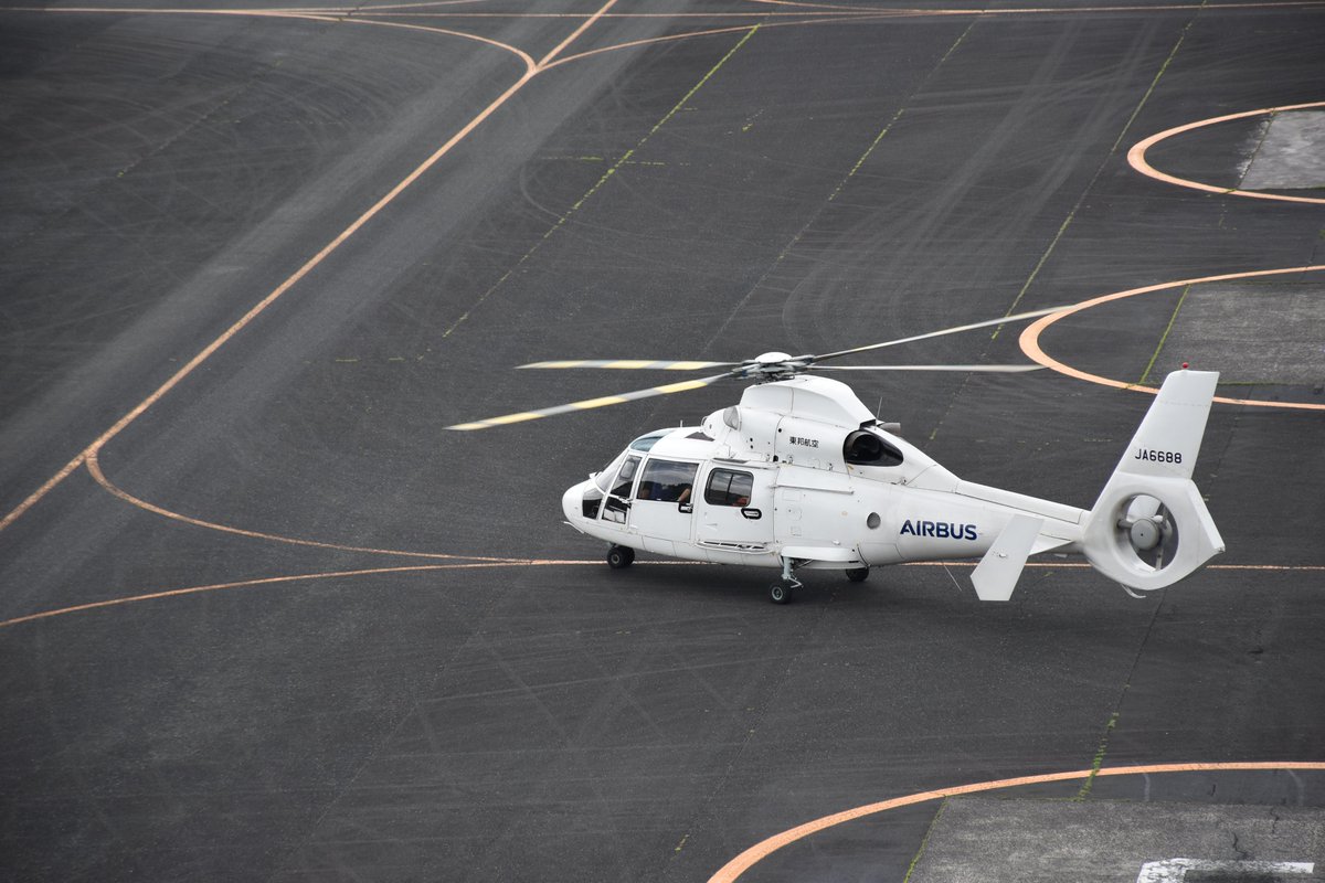 tohoair_info's tweet photo. #JA6688 号機が先日、#東邦航空 で予定された最後のフライトを終えました。近年は操縦士の訓練事業や、番組制作、防災訓練ミッションなどで活躍していました🚁

沢山の素敵なフライトをありがとう！！
AS365N2　JA6688

Thank you 『88』・ありがとう『ぱーぱー』🐬🐬
#ありがとう6688 https://t.co/FbuwRYINSY