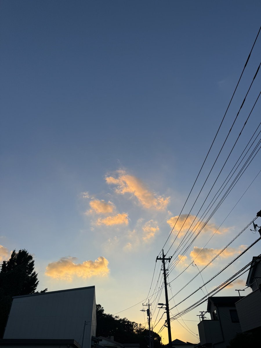 yutetsu88's tweet photo. そら https://t.co/TPglBtjKP0