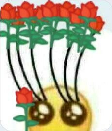 appleboness's tweet photo. @AannoyingCaat @FishleyMackerel @8E8g38oZ6KTnumS @KeebyAstrokat I forgive you https://t.co/drTrFO0fvN