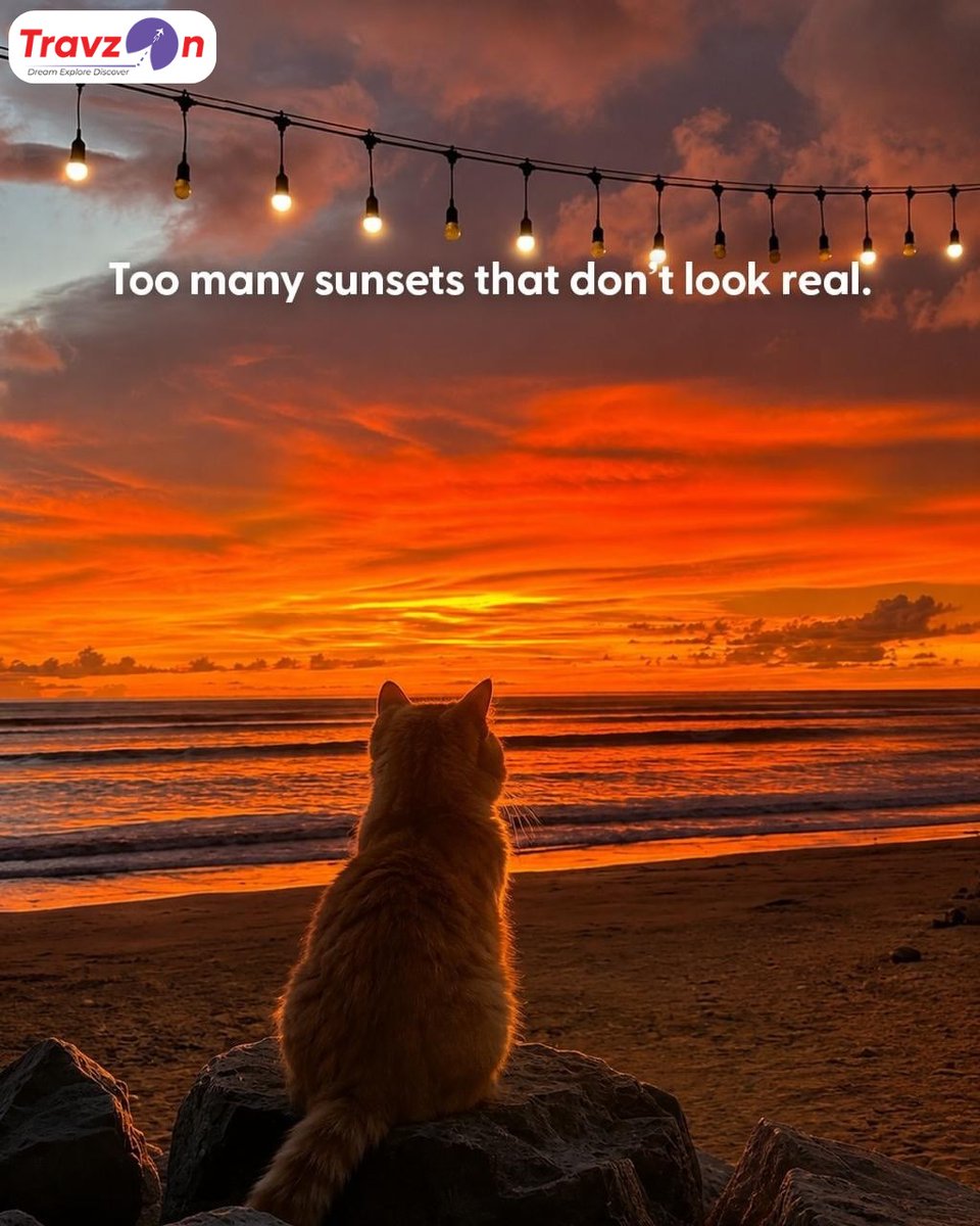 infotravzon's tweet photo. 𝐓𝐨𝐨 𝐦𝐚𝐧𝐲 𝐢𝐬𝐥𝐚𝐧𝐝𝐬. 𝐓𝐨𝐨 𝐦𝐚𝐧𝐲 𝐮𝐧𝐟𝐨𝐫𝐠𝐞𝐭𝐭𝐚𝐛𝐥𝐞 𝐯𝐢𝐞𝐰𝐬. 𝐓𝐨𝐨 𝐦𝐚𝐧𝐲 𝐫𝐞𝐚𝐬𝐨𝐧𝐬 𝐭𝐨 𝐬𝐭𝐚𝐲 𝐥𝐨𝐧𝐠𝐞𝐫.

👉 LINKTREE https://t.co/D1FfkVsIRr

🏢 Address: Hisar | Gurugram https://t.co/dvkt0rzQKE