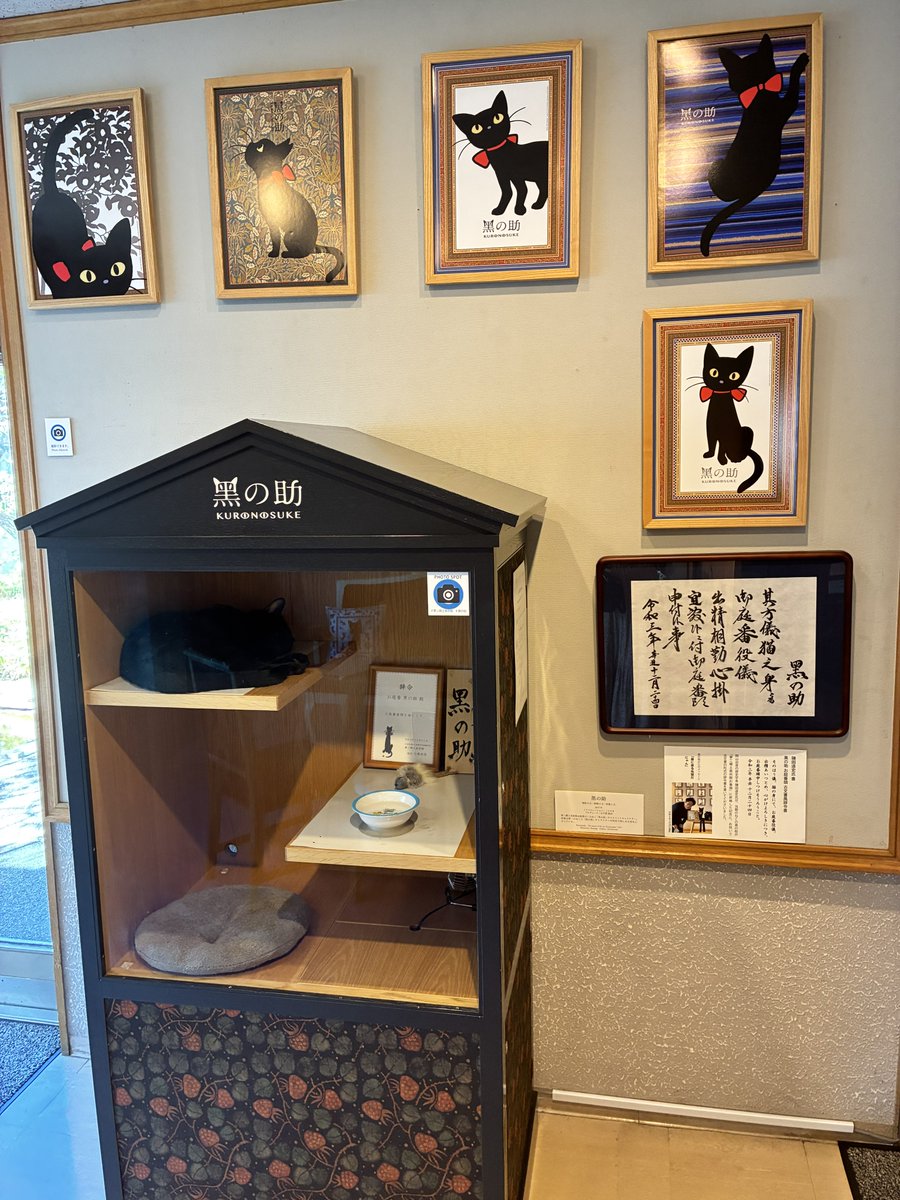 banechara's tweet photo. 夢二郷土美術館に初訪問👟
創立60周年記念展として、音楽とデザインに主眼を置いた企画🎹

「絵の形式で詩を書いてみた」という本人の言葉通り、彼の絵によって頭の中で奏でられるメロディが心地よく😌

看板猫の黑の助はお昼寝してた🐈‍⬛ https://t.co/FFtaUI9M3g