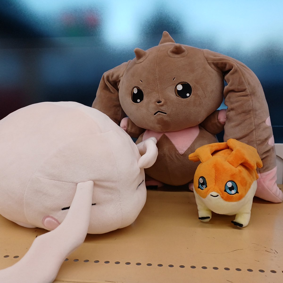hb_hashimoto's tweet photo. パタモン、トコモン、ロップモンのぬいぐるみをお売りいただきました！
#ホビーオフ　#デジモン　#ぬいぐるみ https://t.co/d4knLCre0w