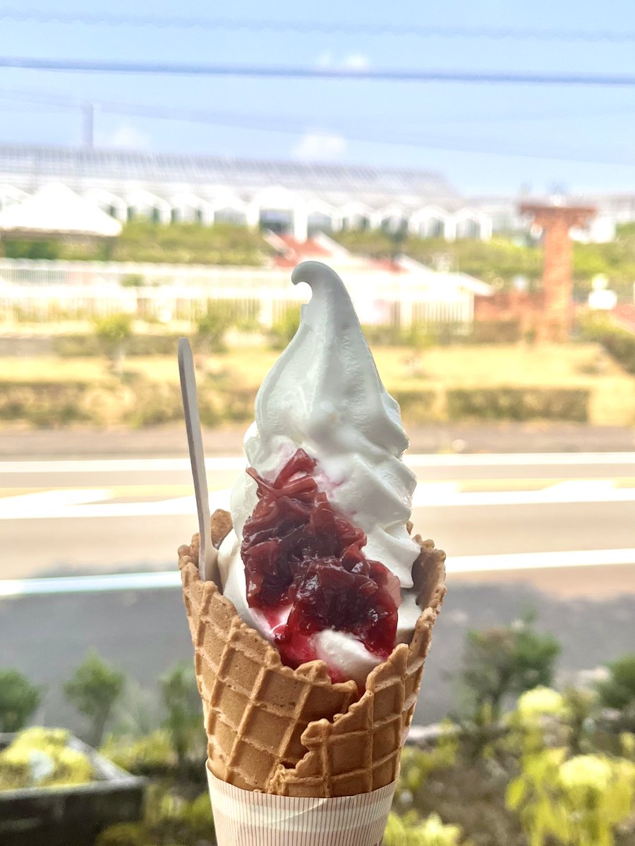 kimitouhu_PR's tweet photo. 甘党な美川先輩のイチオシ🌹🍦 https://t.co/BKztdDABcs