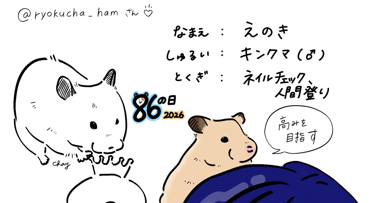 sume4_1006's tweet photo. #ハムの日2026 

髪の毛までワシワシ登れるハムちゃんたまに見かけるけど本当にすごい
登山家名乗っていい https://t.co/7R534hXUl1