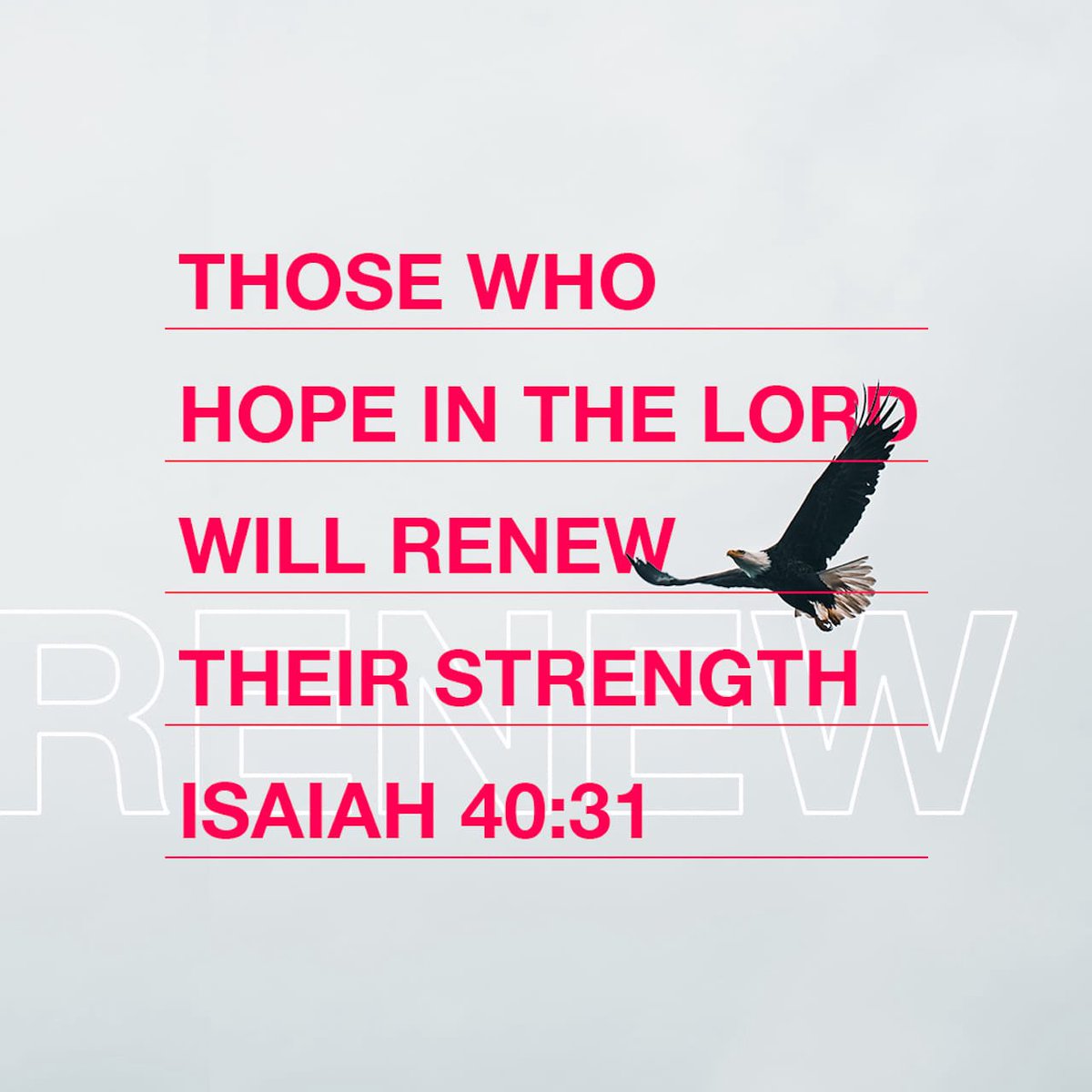 Triptsen's tweet photo. Day 216 of #PureHeart365days

Those who hope in the Lord will renew their strength. They will soar on wings like eagles Isaiah 40:31

Reflection: Reflection: Hope in God, and He will renew your strength for every challenge.
#PureHeart365 https://t.co/hVXftaczr3