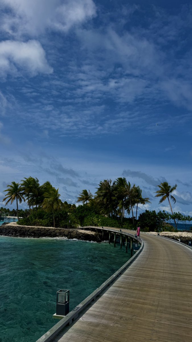 kubraaaad's tweet photo. maldives aka paradise on earth 🩵🏝️🐠🐬🦋💙🌴 https://t.co/riNlKp9Ijq