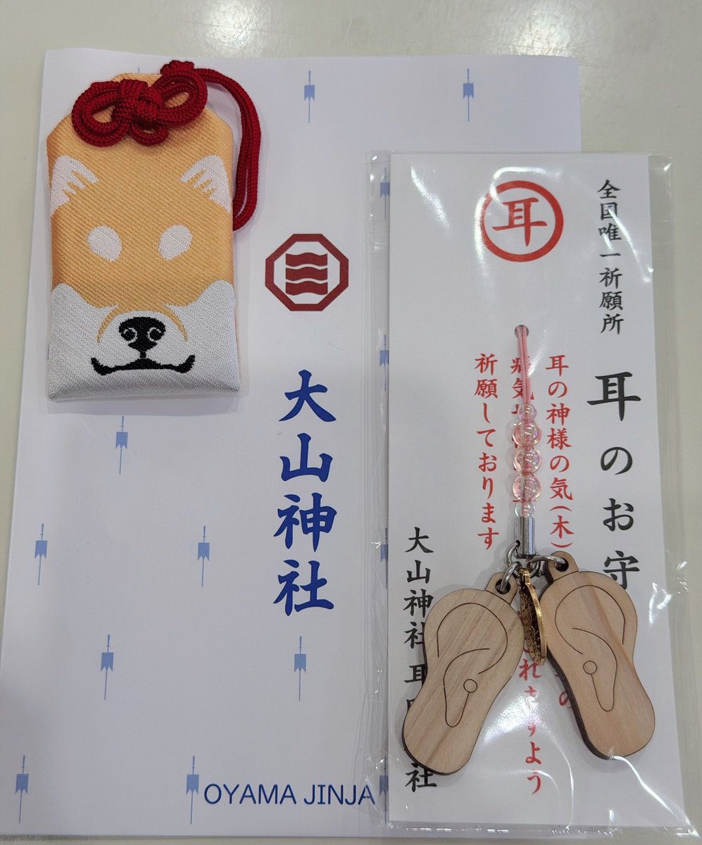 go20597673's tweet photo. ゆきの健康長寿をお祈りしてきました。
柴犬柄のかわいい絵馬とかわいいお守り

＃柴犬
＃ずっと一緒にお散歩したい https://t.co/dvfPoYD7AU