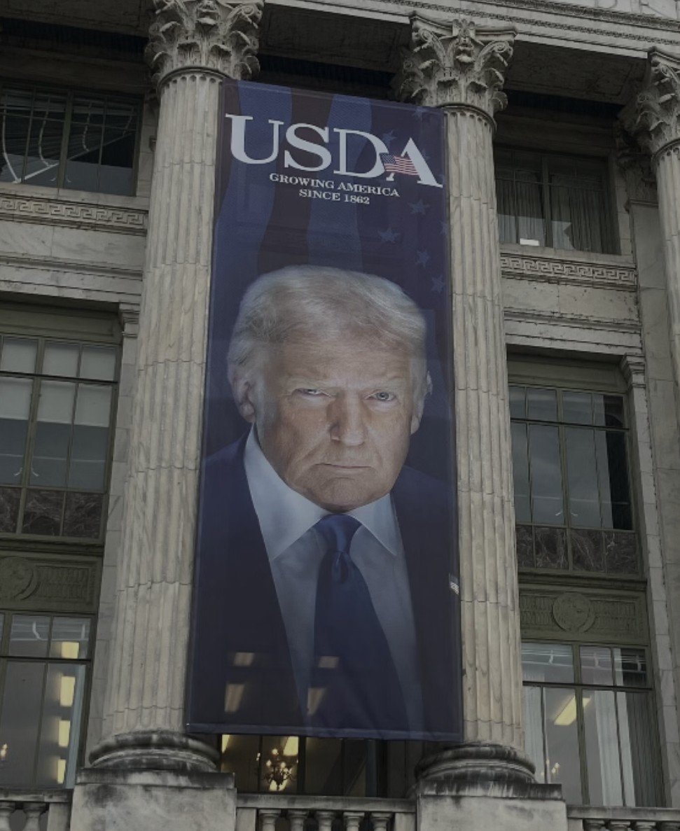 JDoh2983's tweet photo. @Suzierizzo1 Free speech doesn't exist in the #UnitedStates anymore. 

Kinda like the way it in North Korea. EVERYONE is expected to praise the great leader! https://t.co/aPDbRaoAjn