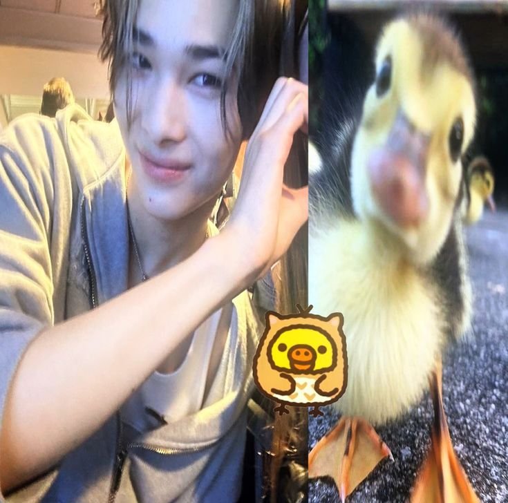 SUDANN_B's tweet photo. @ir0hnz @ENHYPEN @ENHYPEN_members WITH LOVE TO NI-KI
#WithNI_KIForever #NI_KI #니키
@enhypen @ENHYPEN_members https://t.co/TiY5X7IPGE