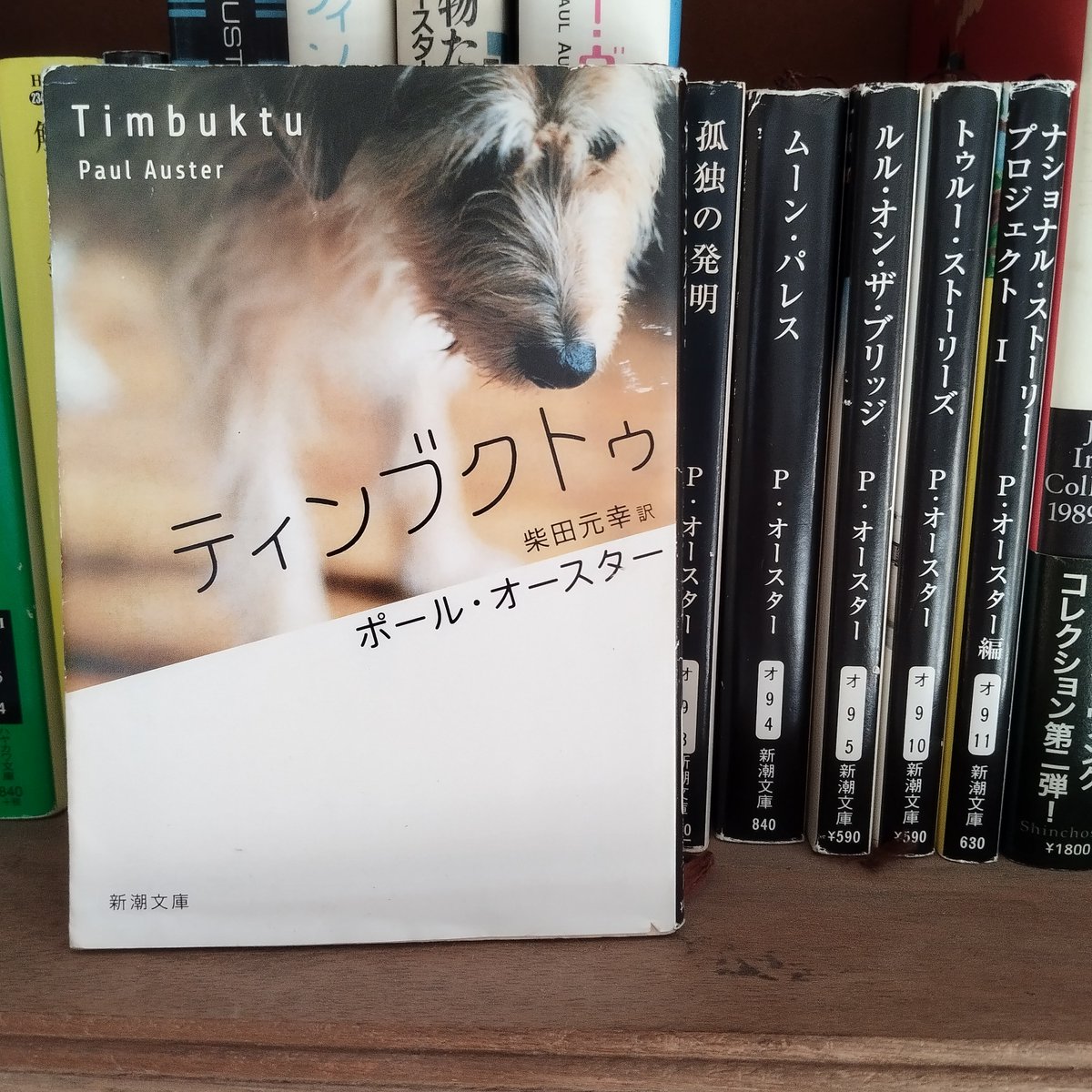 syobosyobou's tweet photo. ポールオースター著ティンブクト��を読んでいました。我が家のわんこももう16歳。目も見えず鼻も効かなくなりすっかりおじいちゃんです。オースターが書く犬の物語もやはり何か起きそうで起きない。分かりやすい感動的な話ではないけれど犬を飼ったことある方ならきっと https://t.co/ggEvWuOrEU