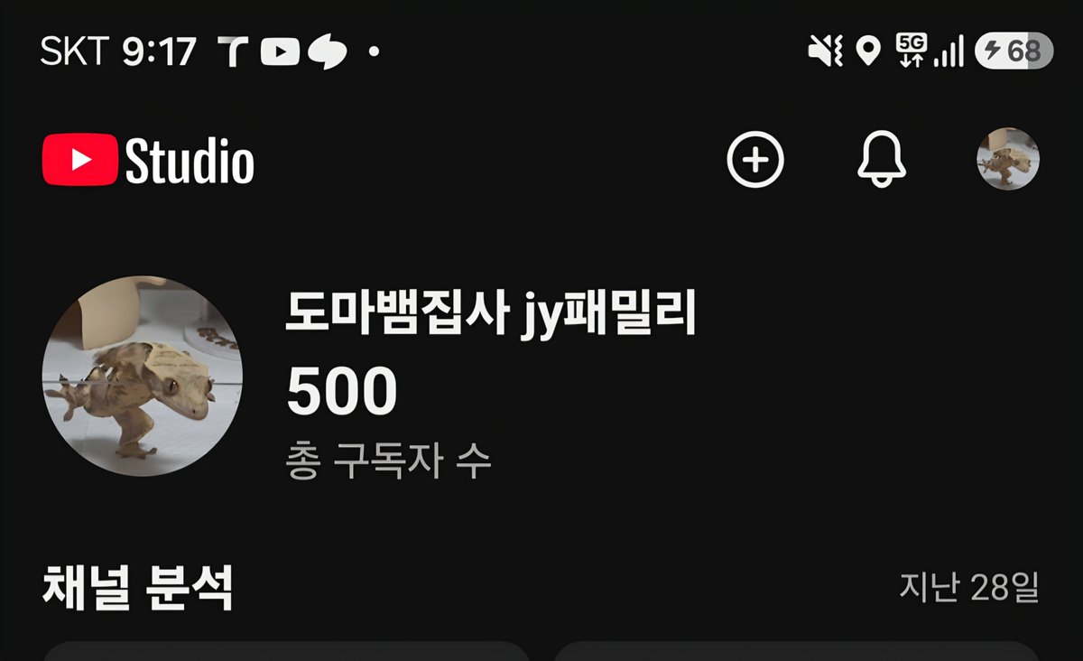 ChangeNote_C's tweet photo. ♧유튜브 구독자 500명 달성~~

오늘 유튜브 구독자가 500명이 넘었습니다.
기분 좋네요^^
도마뱀이 주제인데 재밌는 영상도 많으니 놀러오세요~~ 

PS.
유튜브는 알고리즘 때문에 하나의 주제로 해야하는 부담이 있는데,
X는 그런부담이 없어서 좋네요~

https://t.co/AH0oaSDkWe https://t.co/0omrnKHsxF