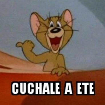 17Matute_CARP's tweet photo. Cuando saquen la mitad de pides buenos qué sacan nuestras inferiores hablamos https://t.co/VMappiulZW
