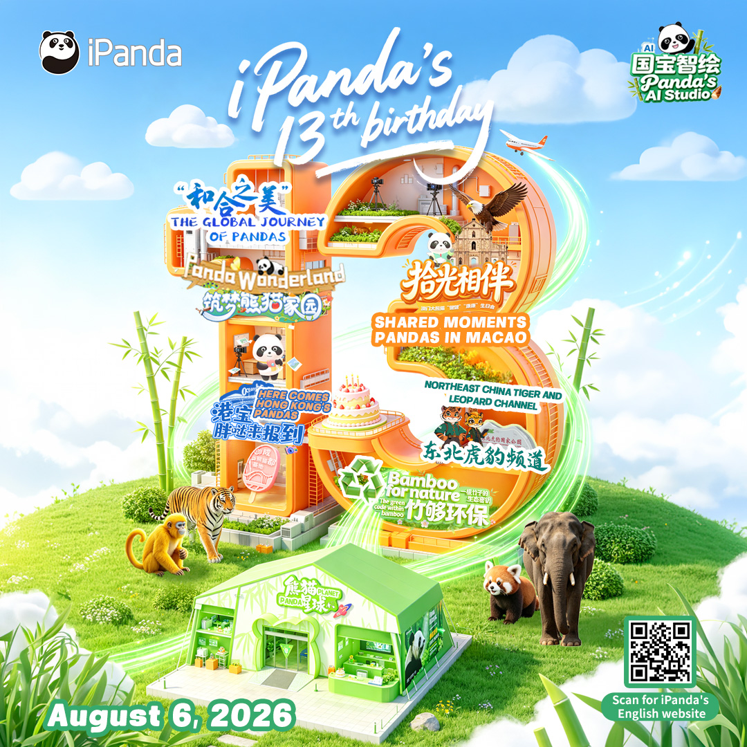ipandacom's tweet photo. Today, we are thrilled to celebrate iPanda's 13th birthday - 13 amazing years full of memories and joy! Thank you for being with us and witnessing every step of our growth along the way. 🩷
#PandaPic #PandaFun #iPandaBday #AIPanda #PandasAIStudio https://t.co/gETuYJLETx