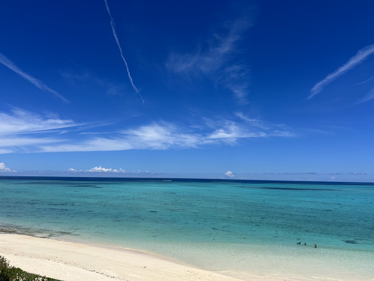 maa61___R's tweet photo. ずっと海海プール海海 https://t.co/4VZkJLD6gr