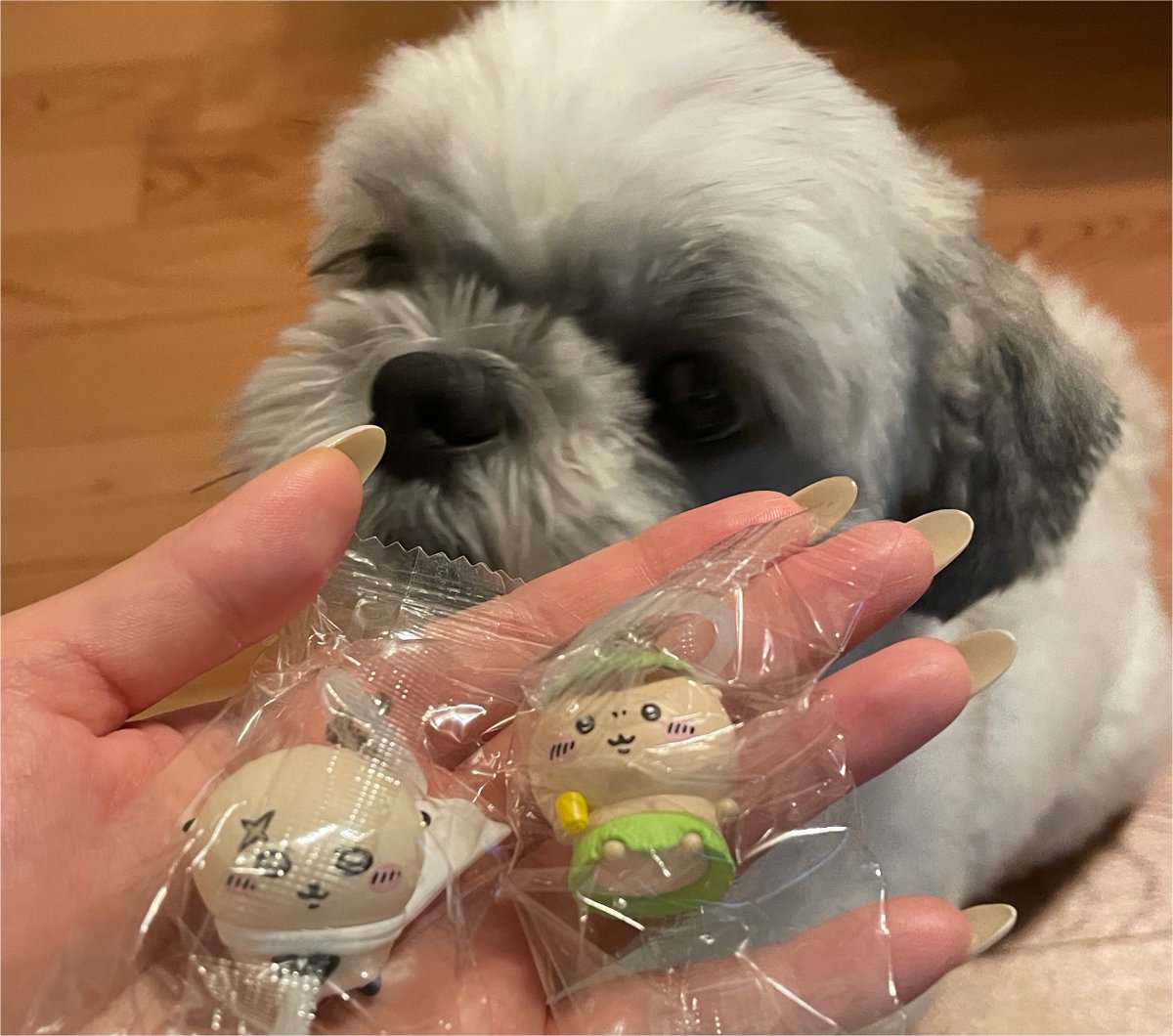 skip20230808's tweet photo. 似てるねあんたたち。 https://t.co/TY7qhOvG5m