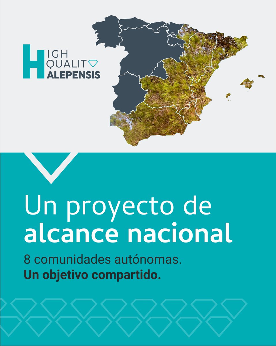 GO_HQH's tweet photo. El proyecto se desarrolla en ocho comunidades autónomas donde el pino carrasco tiene una importante presencia: Comunidad Valenciana, Cataluña, Andalucía, Región de Murcia, Aragón, Castilla-La Mancha, Islas Baleares y Navarra.

#FEADER  #MAPA https://t.co/FTUErbOoc7