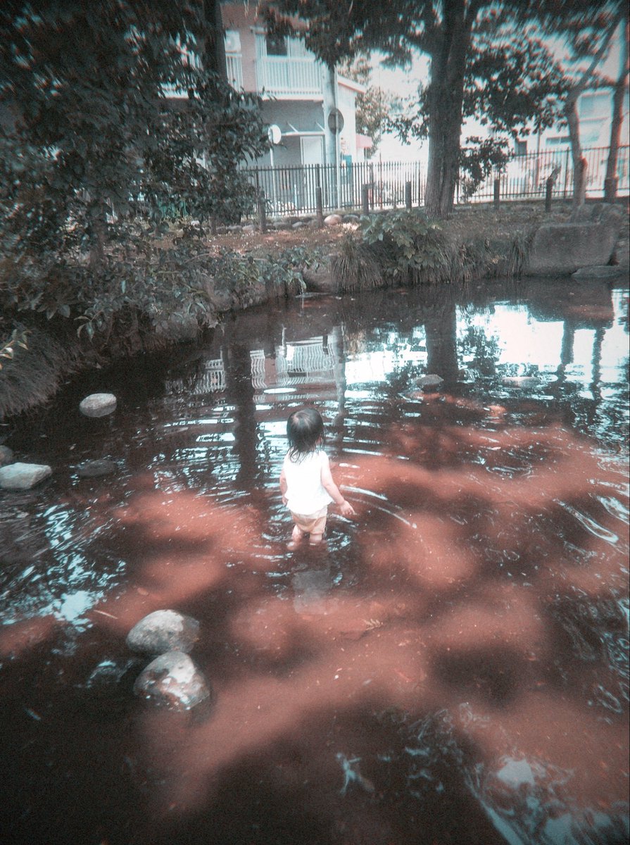 la_0226's tweet photo. なつのだいぼうけんはすぐそこにある https://t.co/MTLEmBonyF