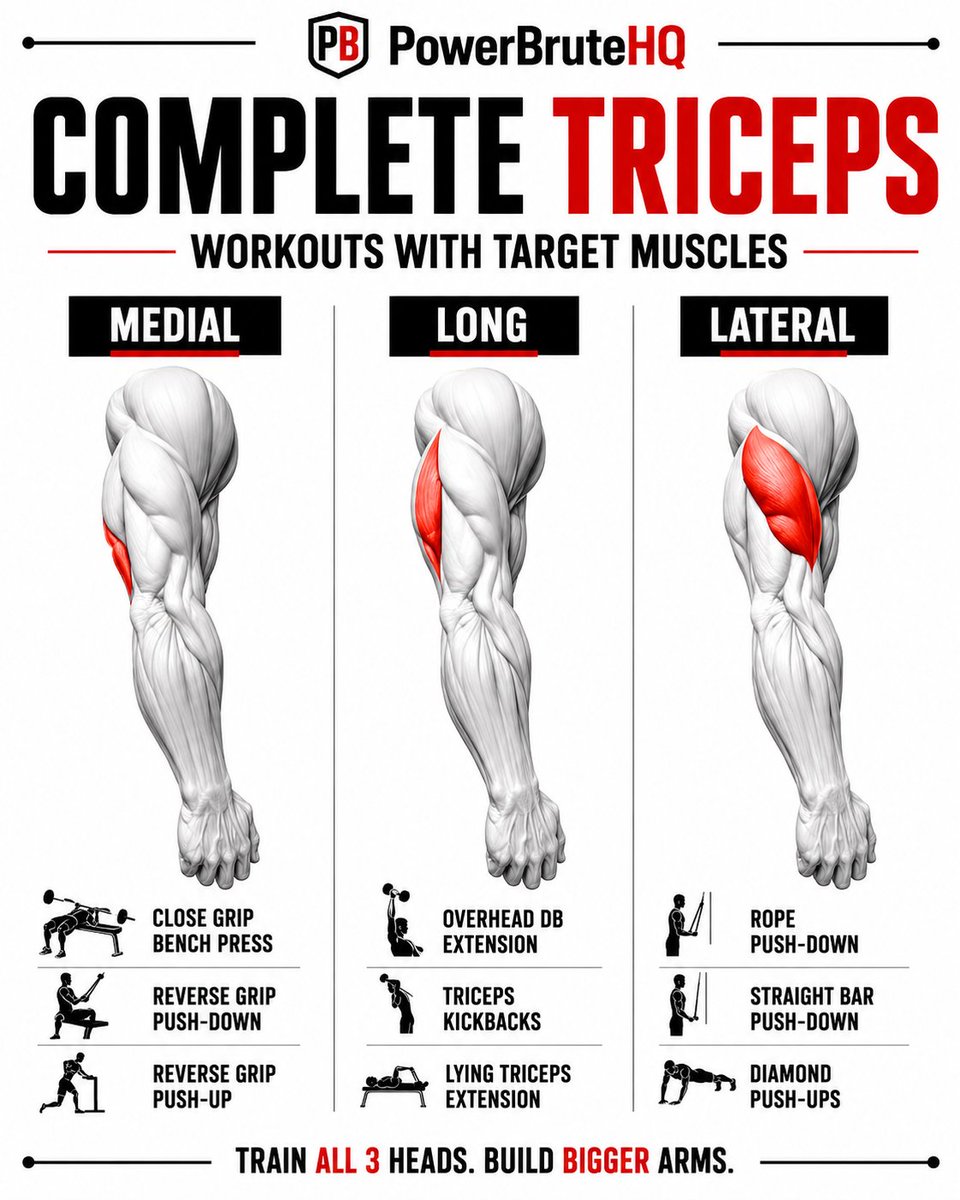 PowerBruteHQ's tweet photo. Complete Triceps Workout https://t.co/VPQgwmxiSY