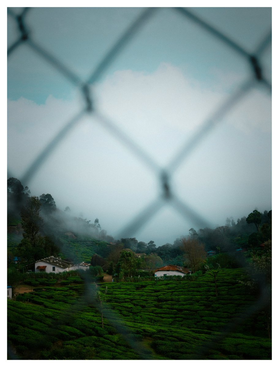 gokull_krrish's tweet photo. Munnar ⛰️☁️
#ShotonOppo #FindX9Pro
#Munnar #Kerala https://t.co/lb7ewc9afj