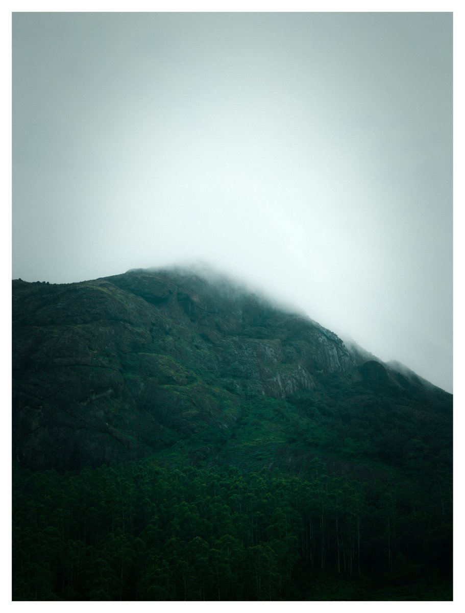 gokull_krrish's tweet photo. Munnar ⛰️☁️
#ShotonOppo #FindX9Pro
#Munnar #Kerala https://t.co/lb7ewc9afj