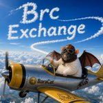 Photo by Brc Exchange (@BRC_Exchange)
