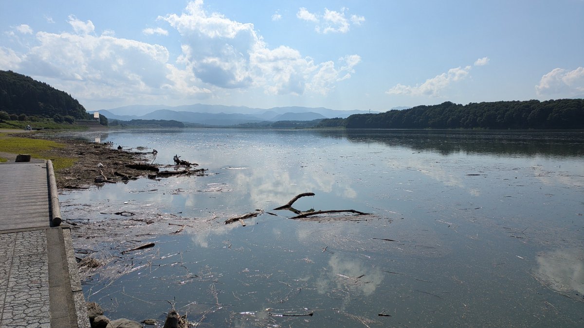 slsubaru's tweet photo. つなぎ温泉に来ました。
今日はこちらの温泉に投宿しますが、その前にちょっと散策。
まずはつなぎ大橋と御所湖。
大雨の影響か、流木が多いですね。
#岩手旅行 #つなぎ大橋 #御所湖 https://t.co/1VsIiLclqm