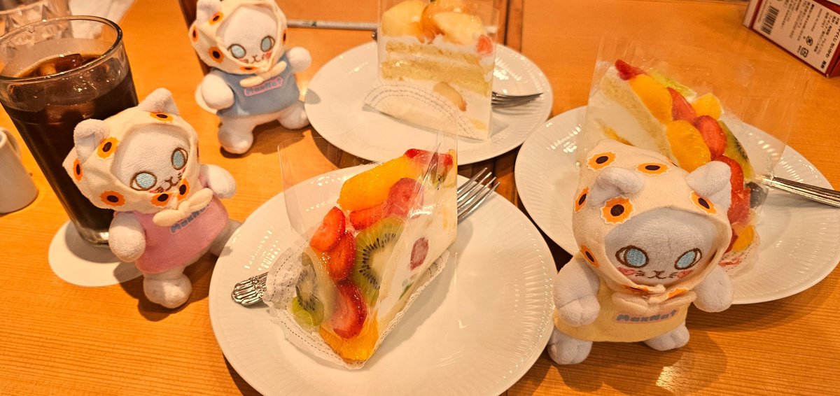 ch0310mn's tweet photo. Natさんの生誕を祝う集い🐾
#natasitt https://t.co/FcYdwyQyPp