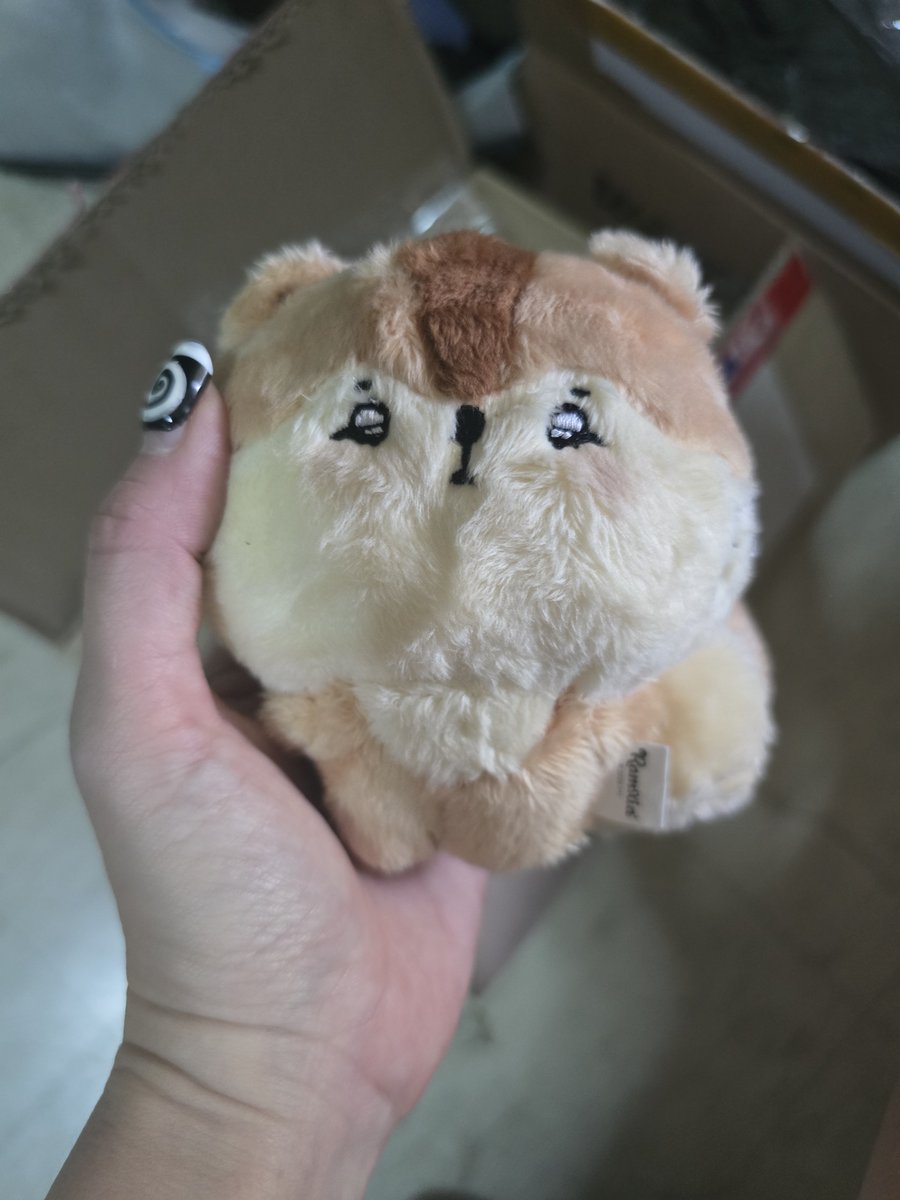 strawberrysoop7's tweet photo. MY FLUFFY BOI HAS ARRIVED 🥺🍒 #ramxia https://t.co/0aeilx0Bfi